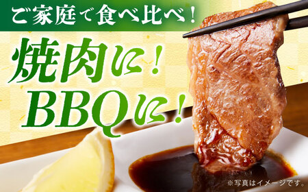 佐賀牛焼肉セット（モモ/カタ赤身/肩ロース）【吉祥】HCW002 焼肉 BBQ