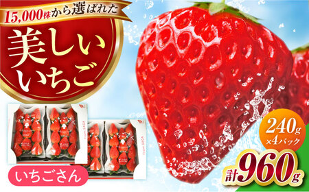 【1月〜3月発送】いちごさん240g×4 HAM087 いちご 果物 フルーツ