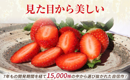 【1月〜3月発送】いちごさん240g×4 HAM087 いちご 果物 フルーツ