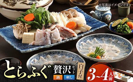 泳ぐ・とらふぐ ＜白子付＞ ふぐ刺・ふぐ鍋セット [HAB003]とらふぐ トラフグ ふぐ