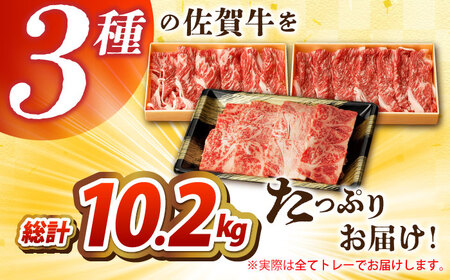 【全12回定期便】佐賀牛焼肉セット(モモ/カタ赤身/肩ロース)【吉祥】 HCW011 焼肉 BBQ