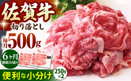 【全6回定期便】佐賀牛 A5 切り落とし 500g（250g×2パック）  [HAD157] 佐賀牛