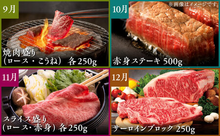 【全12回定期便】佐賀牛 プレミアムコース（2人前） HCS122 佐賀牛