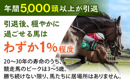 【幸せな第二の馬生を】引退競走馬支援 1,000円 【CLUB RIO】 支援 動物支援 動物保護 返礼品なし[HBY002]
