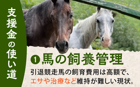 【幸せな第二の馬生を】引退競走馬支援 1,000円 【CLUB RIO】 支援 動物支援 動物保護 返礼品なし[HBY002]