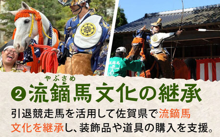 【幸せな第二の馬生を】引退競走馬支援 1,000円 【CLUB RIO】 支援 動物支援 動物保護 返礼品なし[HBY002]