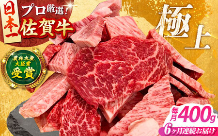 【全6回定期便】佐賀牛 焼肉用 500g 【田中畜産牛肉店】[HBH155] 焼肉 佐賀牛 黒毛和牛