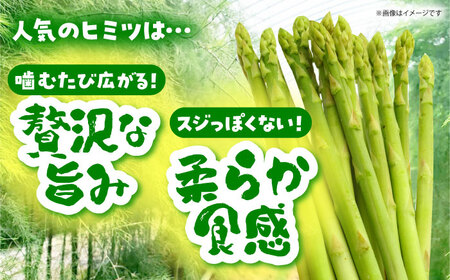 【3から8月発送】 アスパラ 700g（S-Mサイズ）　【えぐちファーム】[HDE001]