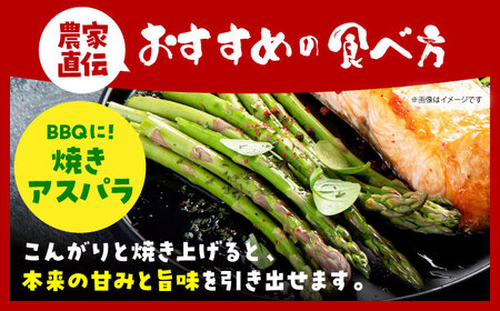 【3から8月発送】 アスパラ 700g（S-Mサイズ）　【えぐちファーム】[HDE001]
