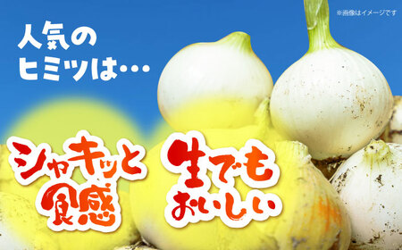 【先行予約】 訳あり 新玉ねぎ 10kg 　【えぐちファーム】 不揃い たまねぎ 小玉 [HDE002]