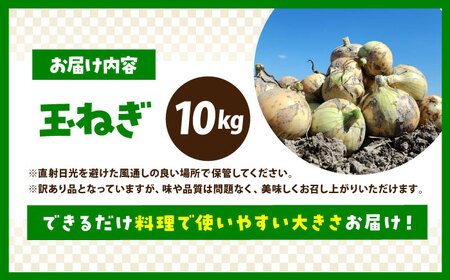 【先行予約】 訳あり 新玉ねぎ 10kg 　【えぐちファーム】 不揃い たまねぎ 小玉 [HDE002]