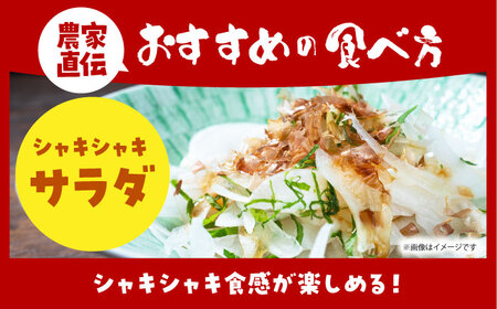 【先行予約】 訳あり 新玉ねぎ 10kg 　【えぐちファーム】 不揃い たまねぎ 小玉 [HDE002]