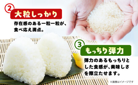 令和7年産 新米 さがびより 精米 5kg 【佐賀県江北町産】[HAF030] こめ
