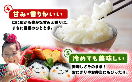 令和7年産 新米 さがびより 精米 5kg 【佐賀県江北町産】[HAF030] こめ