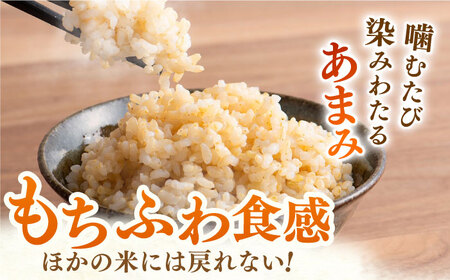 夢しずく 玄米 5kg【ももさき農産】[HCG019]玄米 特A