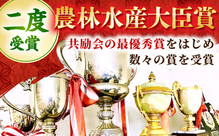 【12/15入金まで年内発送】【2度の農林水産大臣賞】 佐賀牛 焼肉 盛り合わせ 500g（霜降り・赤身 各250g）【田中畜産牛肉店】 黒毛和牛 バーベキュー BBQ[HBH160]