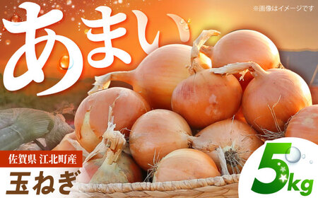 【先行予約】 玉ねぎ 5kg 【吉祥】[HDG003]