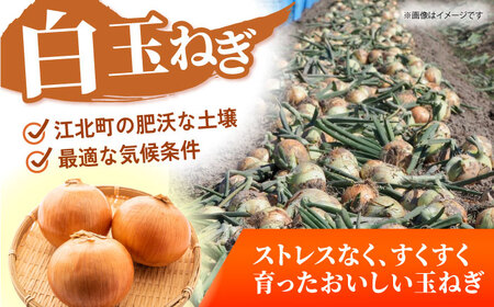 【先行予約】 玉ねぎ 5kg 【吉祥】[HDG003]