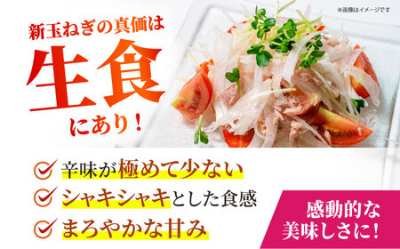 【先行予約】 新玉ねぎ 10kg 【吉祥】[HDG016]