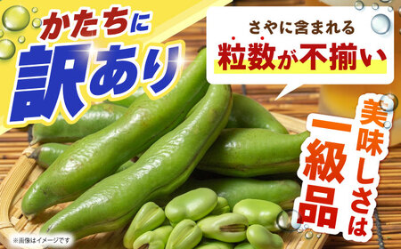 【朝採れ】 訳あり 生そら豆 2.5kg 【にしやまファーム】 新物 さや付き そら豆[HDI002]