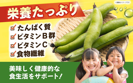 【朝採れ】 訳あり 生そら豆 2.5kg 【にしやまファーム】 新物 さや付き そら豆[HDI002]