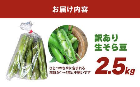 【朝採れ】 訳あり 生そら豆 2.5kg 【にしやまファーム】 新物 さや付き そら豆[HDI002]