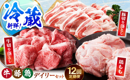 【冷蔵発送】【全12回定期便】三栄のデイリーセット＜ 牛 豚 鶏 ＞【肉の三栄】 佐賀牛 切り落とし 豚 ありたどり 牛肉 豚肉 鶏肉[HAA202]