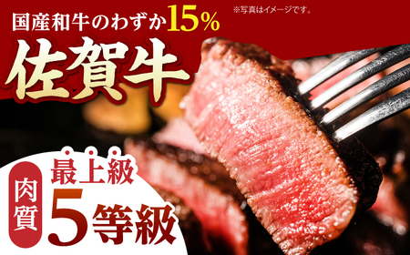 【2026年1月発送】佐賀牛 ヒレステーキ 400g （100g×4枚）【山下牛舎】黒毛和牛 フィレ A5 [HAD173]