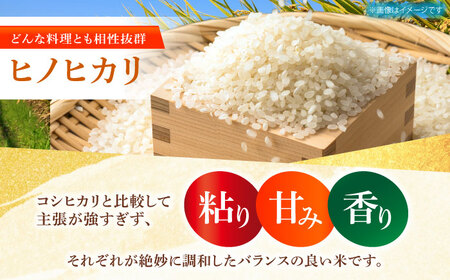 ヒノヒカリ 白米 10kg [HDK001] 精米 米 白米