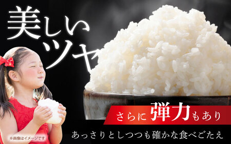 ヒノヒカリ 白米 10kg [HDK001] 精米 米 白米