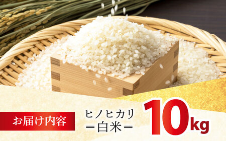 ヒノヒカリ 白米 10kg [HDK001] 精米 米 白米