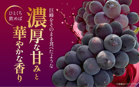 【巨峰100%使用】 ぶどうジュース （ ストレートジュース ）150ml×6本 【石井園】[HDD003]