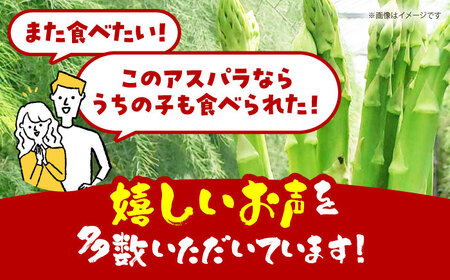 【訳あり】 MOTTAINAI アスパラ 1kg 【えぐちファーム】[HDE003]