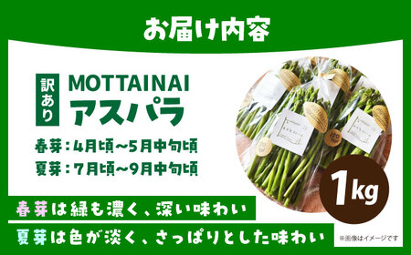 【訳あり】 MOTTAINAI アスパラ 1kg 【えぐちファーム】[HDE003]