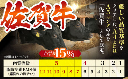 【12/20入金まで年内発送】佐賀牛 サーロイン ステーキ約200g×3枚 HAA005 ステーキ 和牛 国産