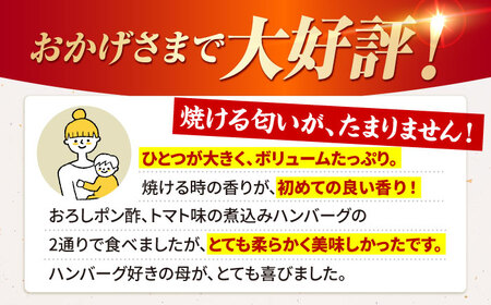 【全3回定期便】佐賀牛 ハンバーグ (10個) HAA035 牛肉 ハンバーグ 赤身 国産