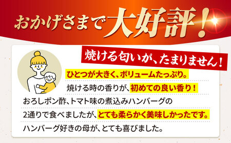 【全3回定期便】佐賀牛 おっきい ハンバーグ（10個） HAA037 牛肉 ハンバーグ 赤身 国産