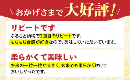 【先行予約】令和6年産 新米 さがびより 玄米 10kg（5kg×2袋）【ひなたむらのお米】[HAC003]特A評価 特A 米 コメ