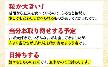 【先行予約】令和6年産 新米 さがびより 玄米 10kg（5kg×2袋）【ひなたむらのお米】[HAC003]特A評価 特A 米 コメ