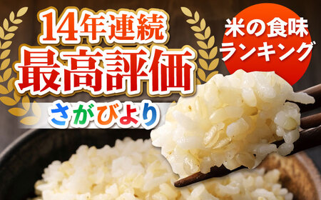 【先行予約】令和6年産 新米 さがびより 玄米 10kg【ひなたむらのお米】[HAC004]特A評価 特A 米 コメ