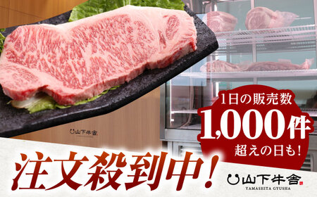 佐賀牛 サーロインステーキ600g HAD027 ステーキ 牛肉