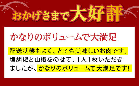 佐賀牛 サーロインステーキ600g HAD027 ステーキ 牛肉
