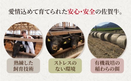 霜降り A5ランク】佐賀牛 リブロース スライス 500g（しゃぶしゃぶ用