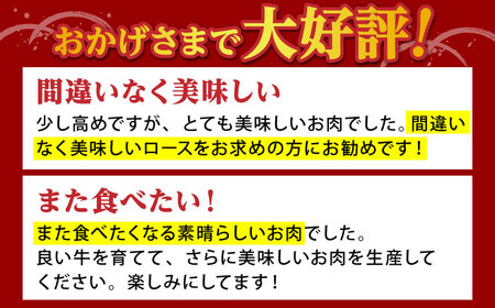 佐賀牛 肩ローススライス500g すき焼き用 HAD042 すき焼き しゃぶしゃぶ