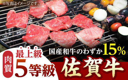 佐賀牛 A5 赤身(モモ)焼肉用 400g×3パック HAD058 BBQ バーベキュー キャンプ アウトドア 赤身
