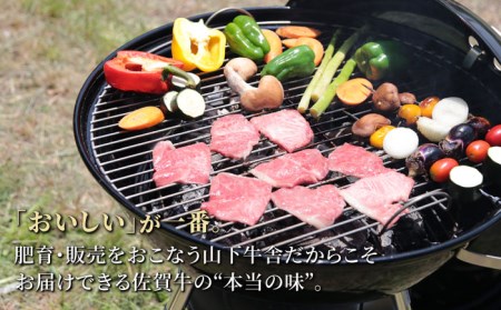 佐賀牛 A5 焼肉食べ比べセット400g×3 HAD059 BBQ バーベキュー キャンプ アウトドア 焼肉