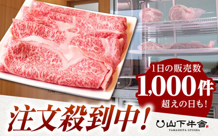 【全6回定期便】佐賀牛 A5 リブロース スライス 500g（しゃぶしゃぶ用）  [HAD085] 佐賀牛