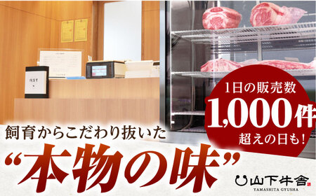 【全6回定期便】佐賀牛 A5 赤身 スライス 500g（しゃぶしゃぶ用） [HAD091] 佐賀牛