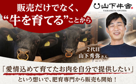 【全12回定期便】佐賀牛A5赤身スライス500gしゃぶしゃぶ用 HAD092 佐賀牛