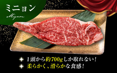 佐賀牛 ヒレ 3種食べ比べセット（100g×3枚） HAD105 ヒレ フィレ 